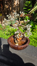 Pyriet boom water fontein