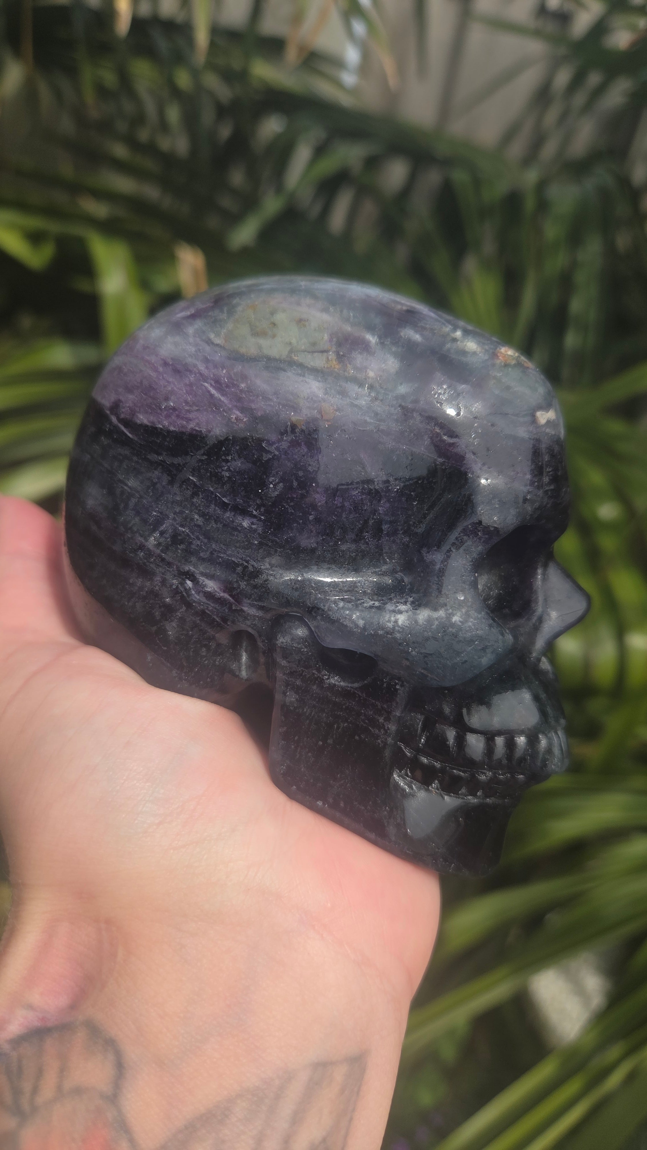 A+ kwaliteit fluoriet skull